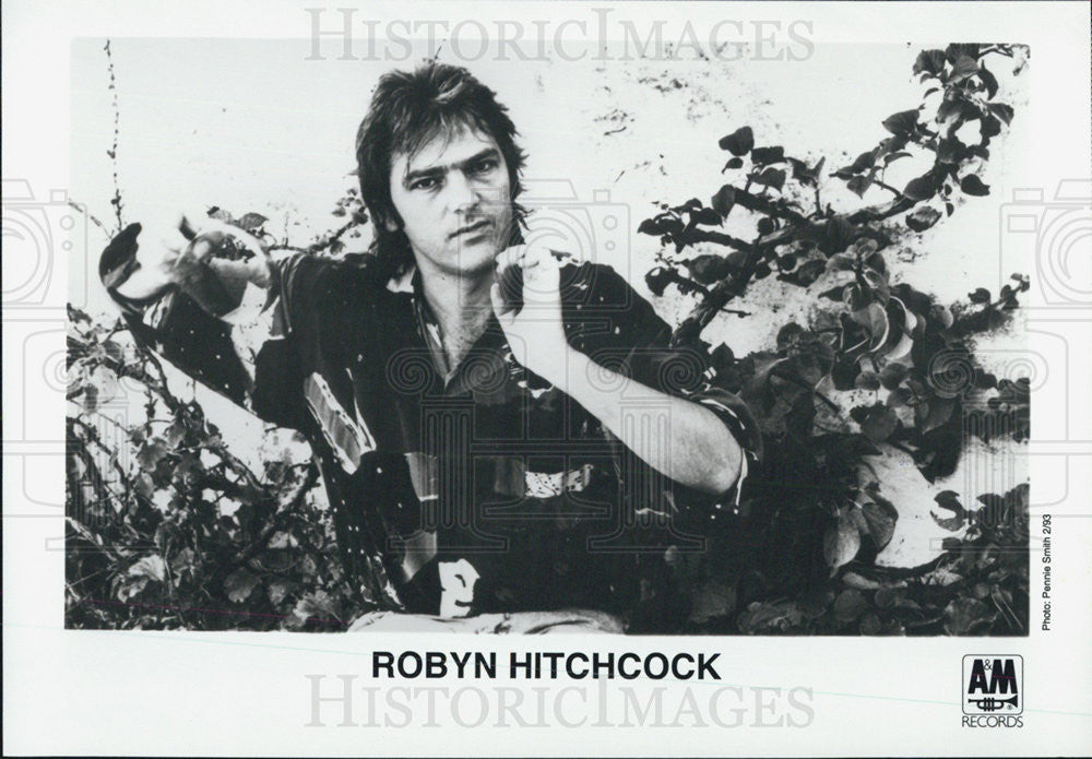 1993 Press Photo Robyn Hithcock singer musician entertainer - Historic Images