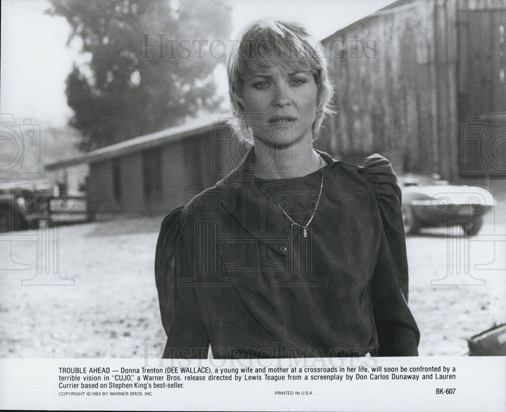 1983 Press Photo Dee Wallace in a scene from the horror film, Cujo - Historic Images