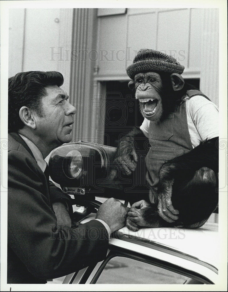 Press Photo Chimpanzee. - Historic Images