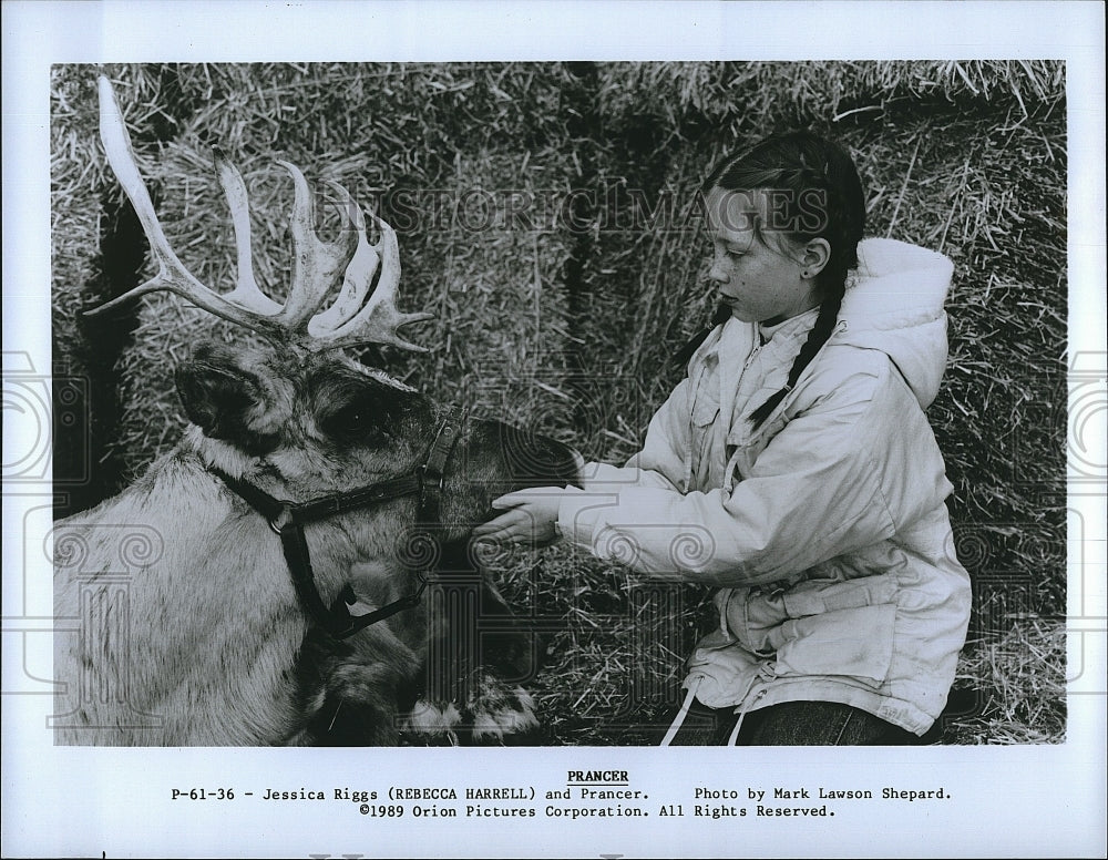 1989 Press Photo Rebecca Harrell American Actress Prancer Children&#39;s Movie Film- Historic Images