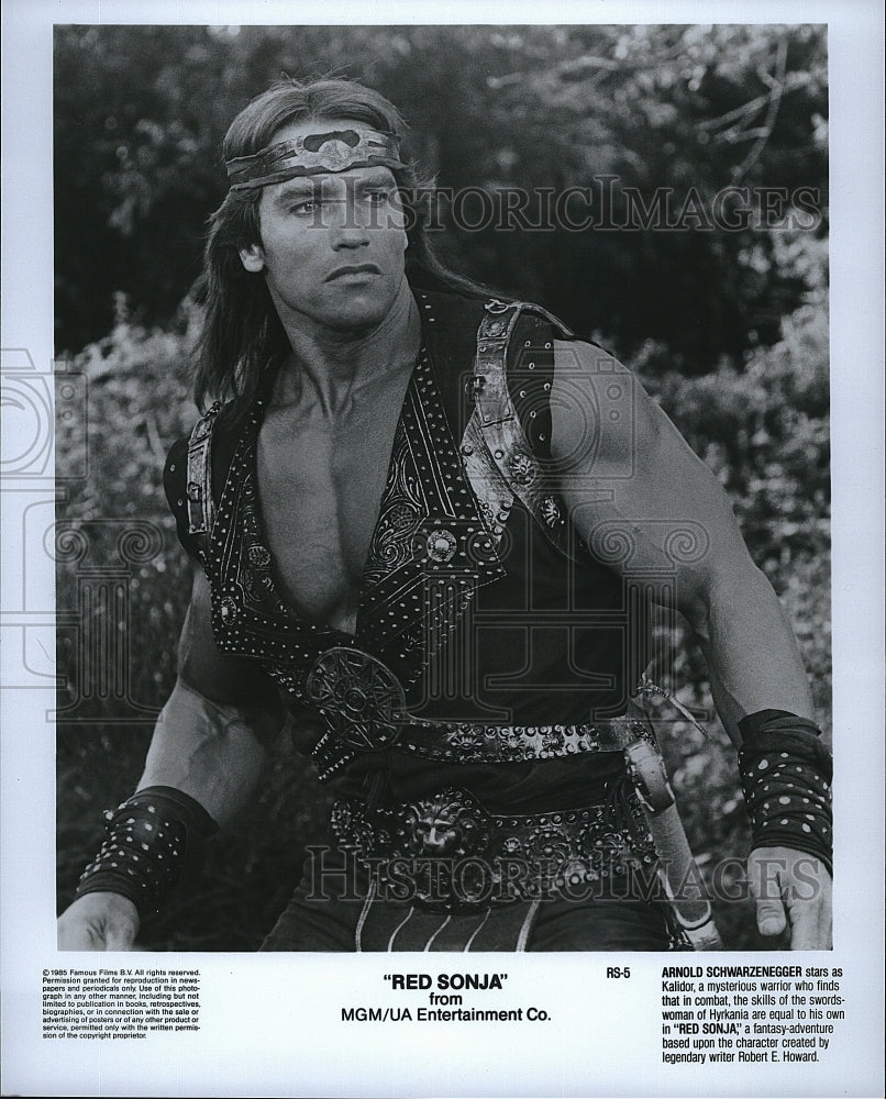 1985 Press Photo Arnold Schwarzenegger in &quot;Red Sonja&quot;- Historic Images