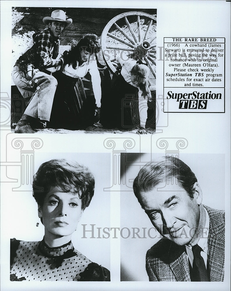 1966 Press Photo James Jimmy Stewart Actor Maureen O'Hara Actress Rare Breed- Historic Images