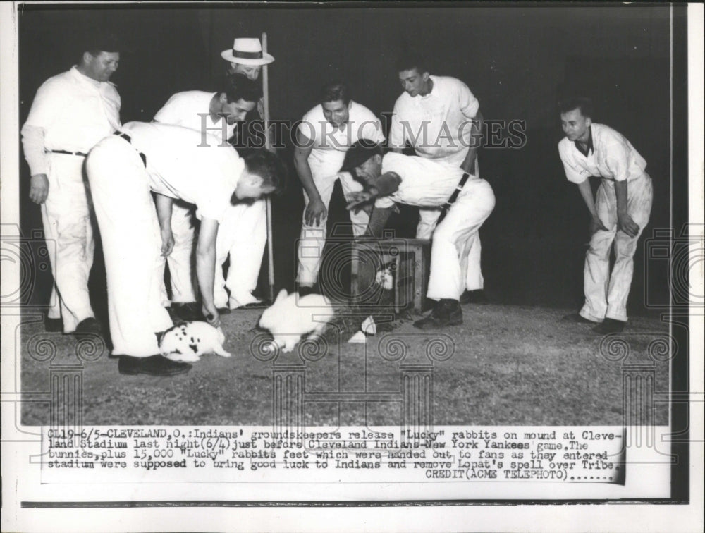 Press Photo Baseball Indians Yankees Rabbits - Historic Images