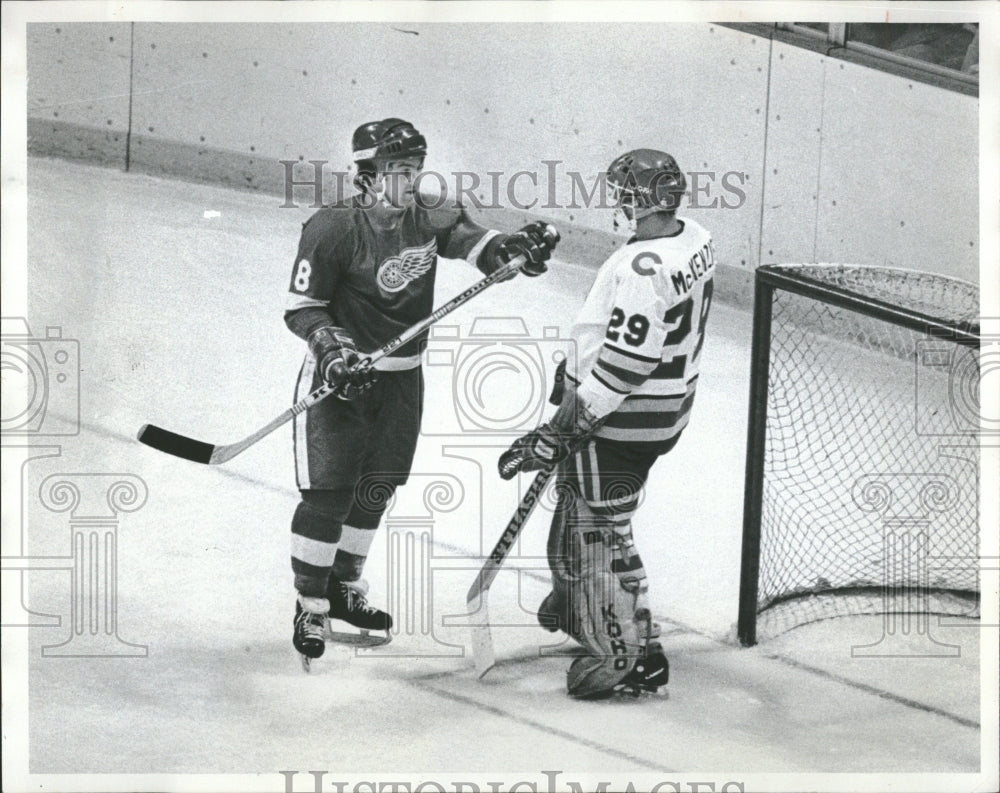 1978 Press Photo Colorado Rockies goalie fighting - RRQ20313 - Historic Images