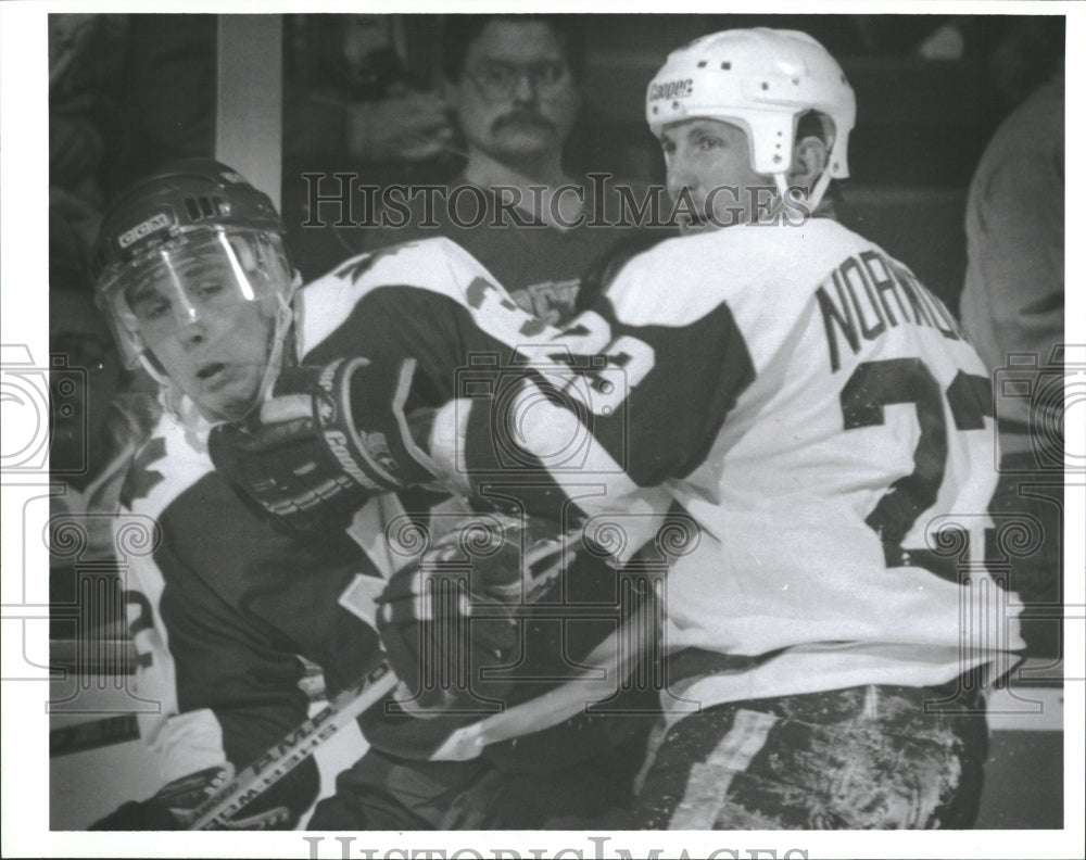 1990 Press Photo Detroit Red Wings Lee Norwood - RRQ22735 - Historic Images