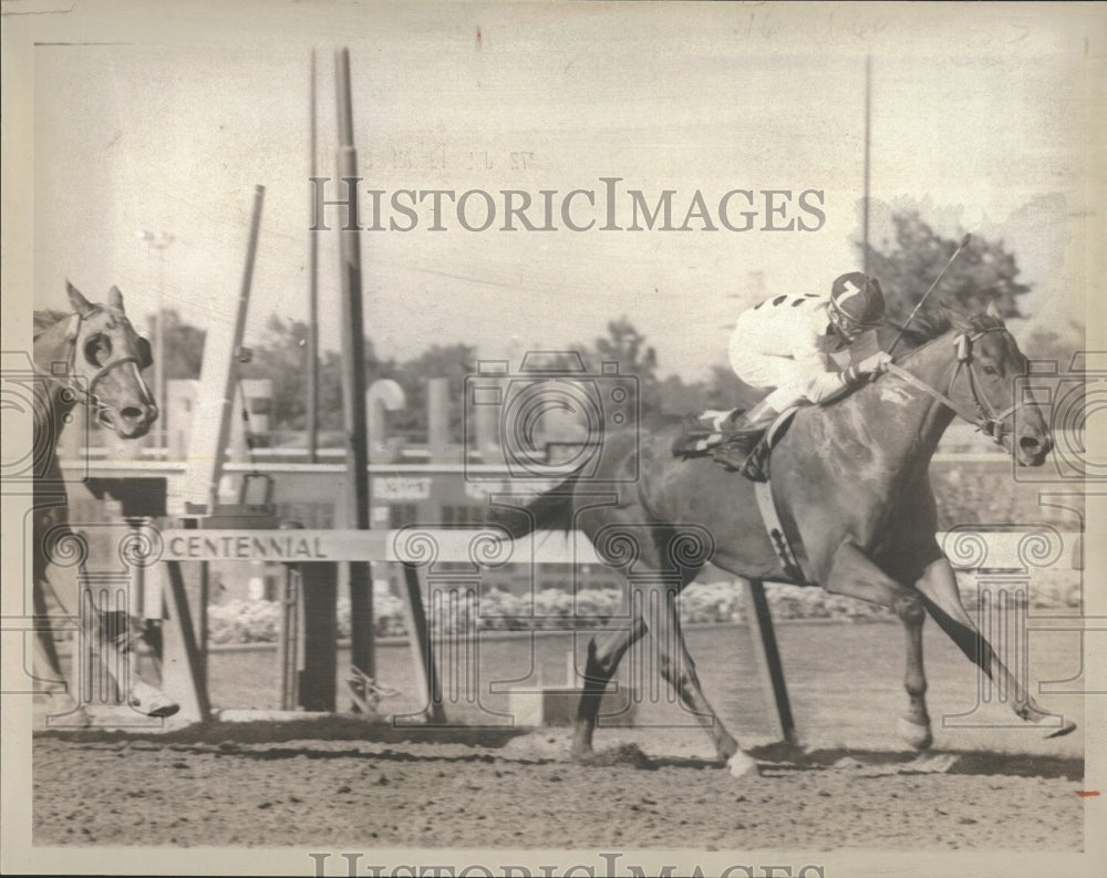 1972 Wire Horse Race Stewards Sprint - Historic Images