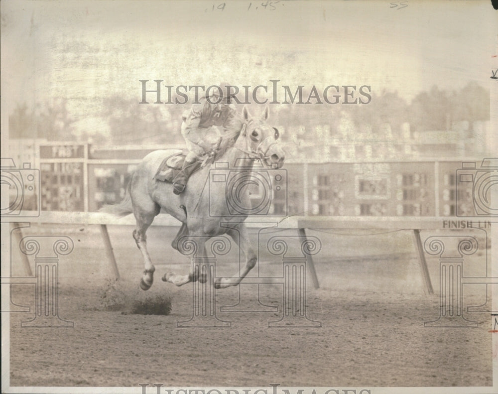 1971 Belle Dancer Dennis Porras Horse Racin - Historic Images