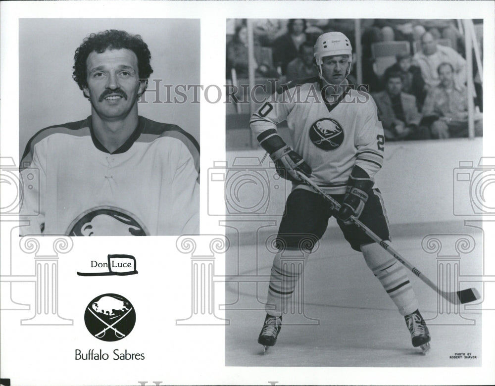 Don Luce Buffalo Sabres NHL Hockey Player - Historic Images