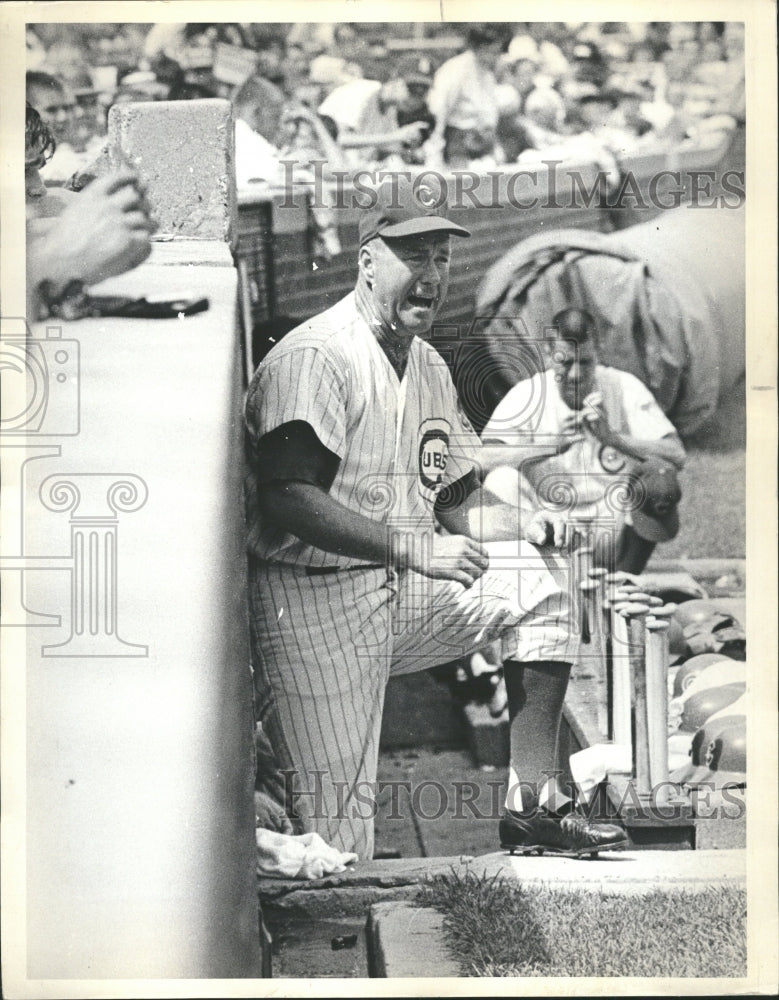 1963 Cubs head coach Bob Kennedy-Historic Images