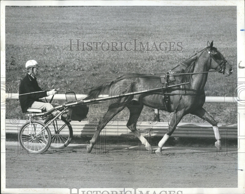 1971 Walter Paisley Horse Racing Training - Historic Images