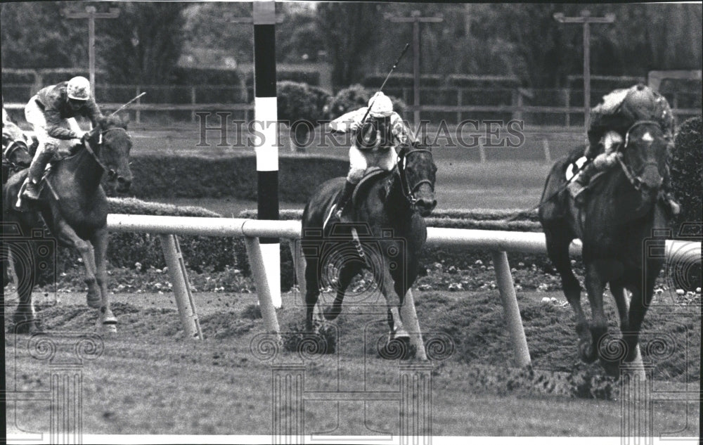  Rod Gibson being defeated. - Historic Images