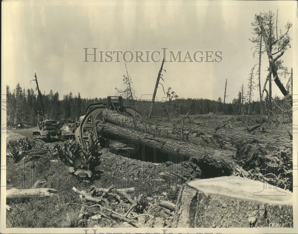 1930 Caterpillar Timber Kinzua pine mills - Historic Images