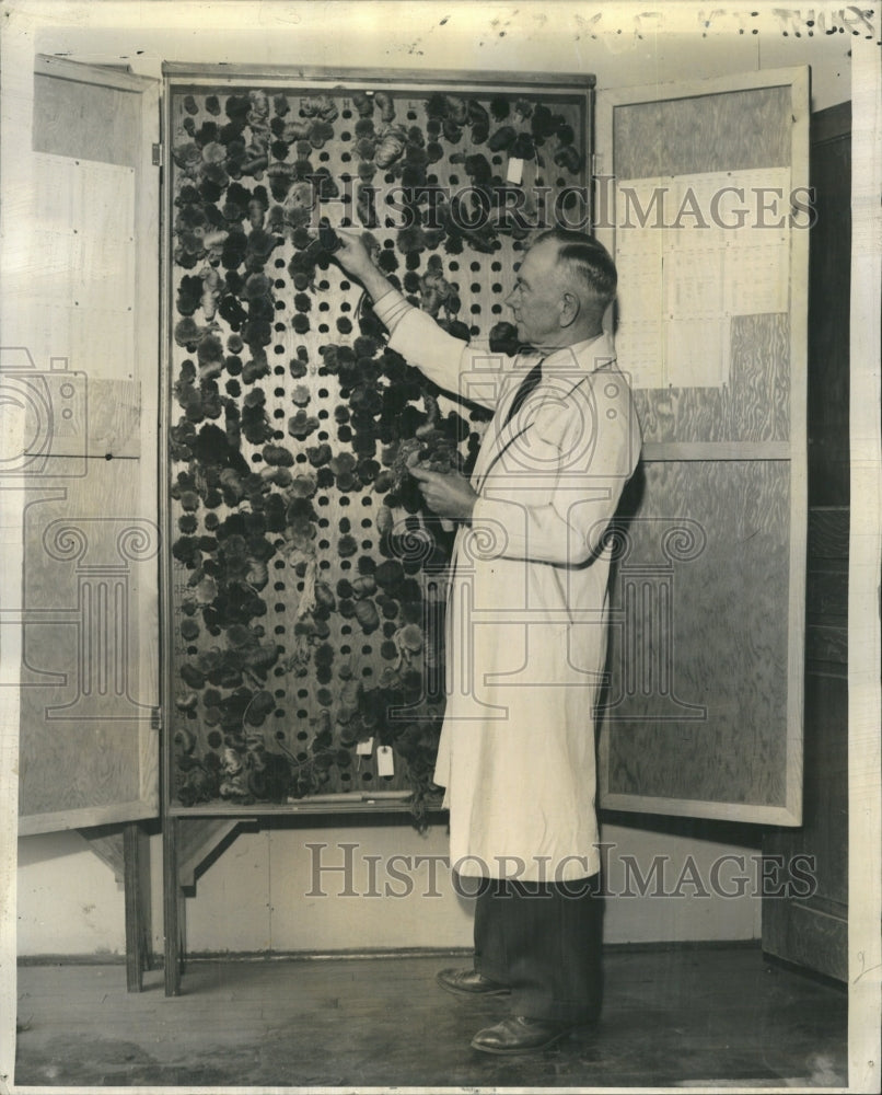 1939 Dyemaster Harry Davis Eleanor Hotel - Historic Images