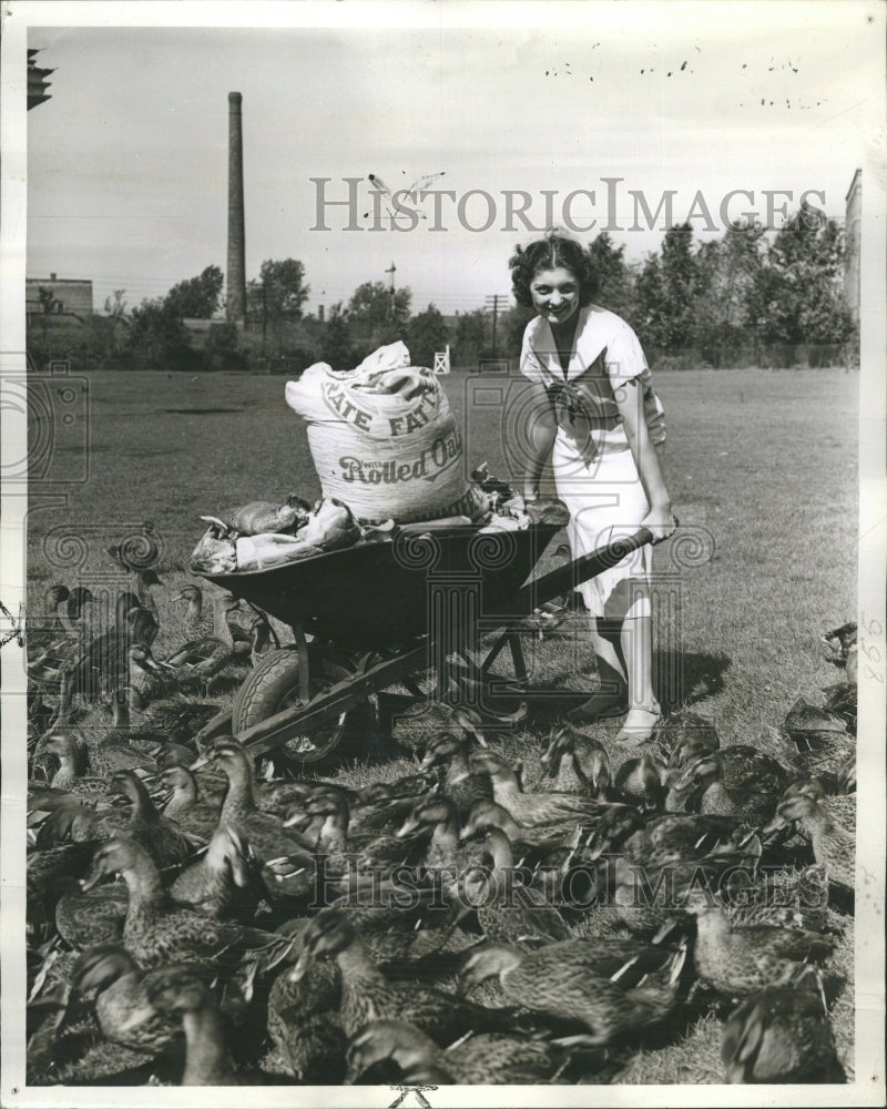 1939 Olson Wild Duck Haven - Historic Images
