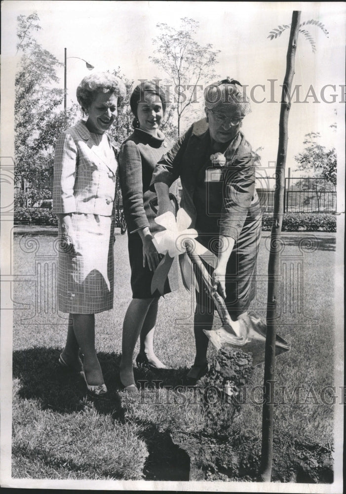 1967 Hull House Tree Planters - Historic Images