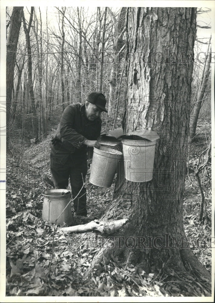 1984 Maple IndustryIndiana Dunes Chelliberg - Historic Images