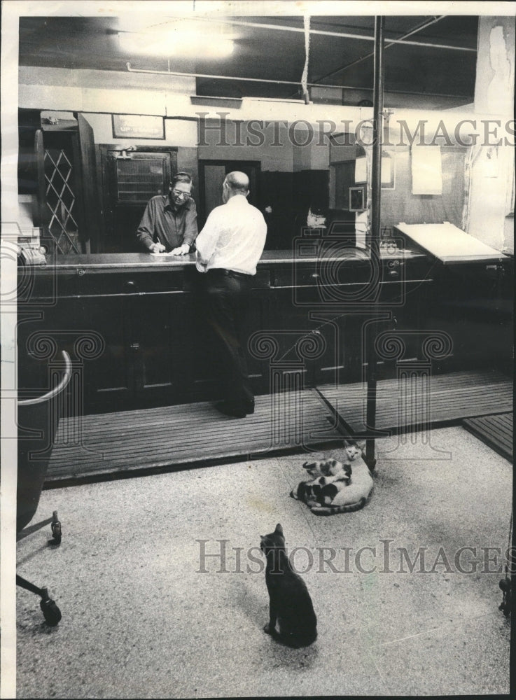 1975 McCay Hotel Nine Cats Old Radio - Historic Images