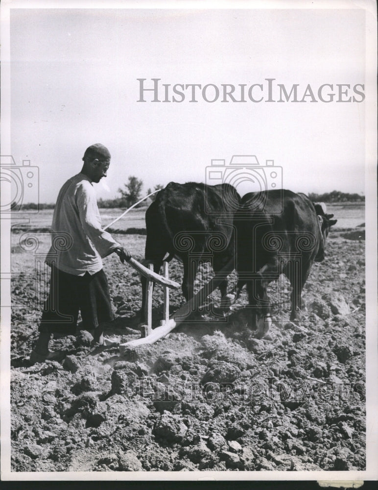 1953 Iran Farmer Plowing - Historic Images