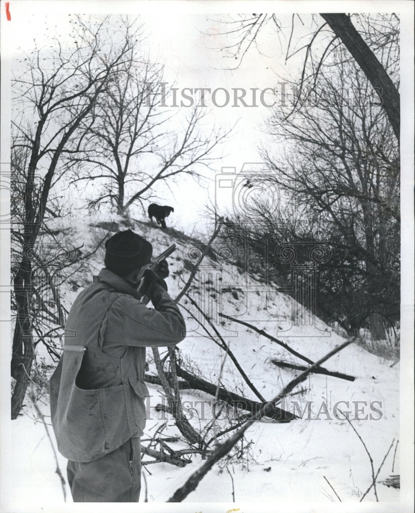 1974 Birds Hunting Press Photo - Historic Images
