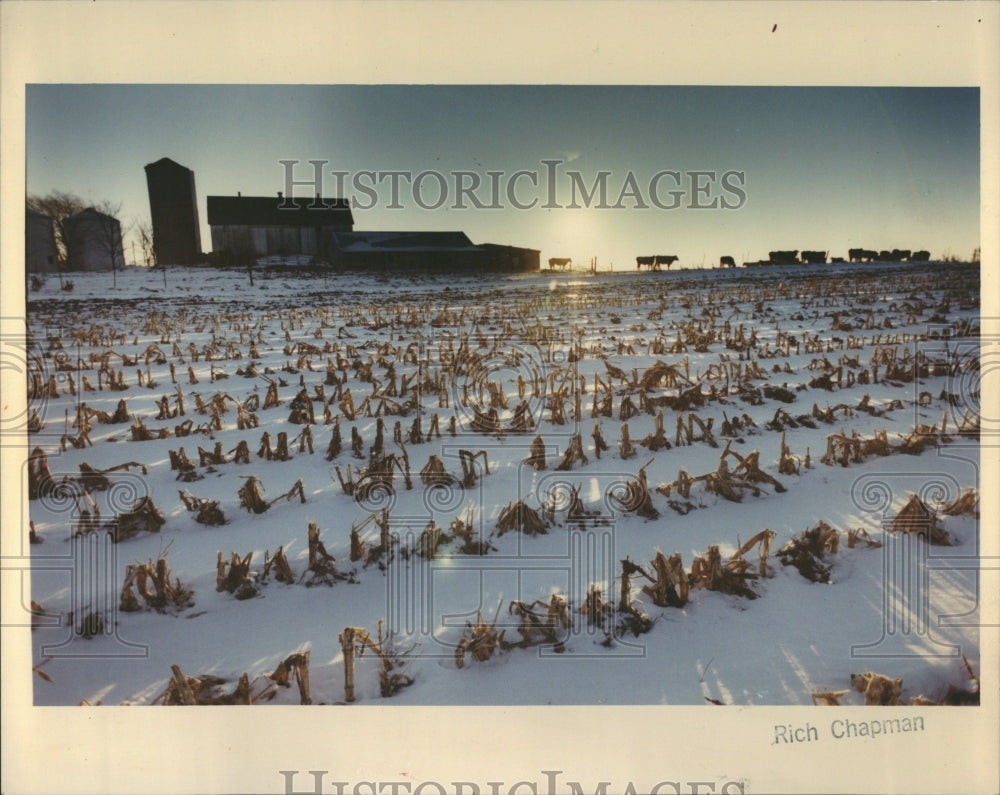 1991 K.C Johnson Kane Cty Farm in Silhouett - Historic Images