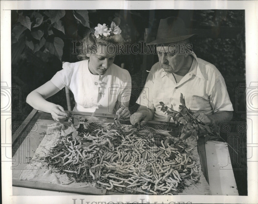 1944 Bagdad Silkworms Brooklyn New York - Historic Images