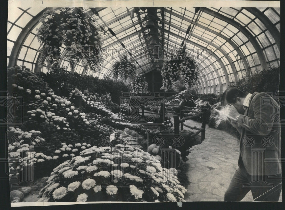1975 Chrysanthemum Show Lincoln Park  - Historic Images