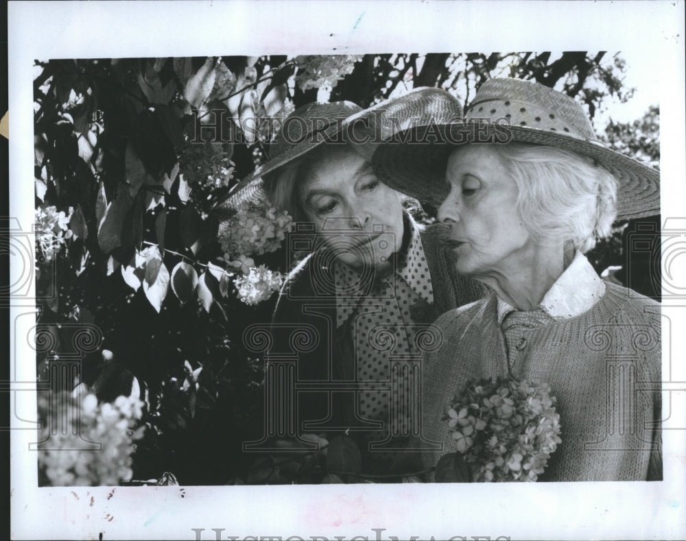 1987 Lillian Diana Gish Bette Davis August - Historic Images