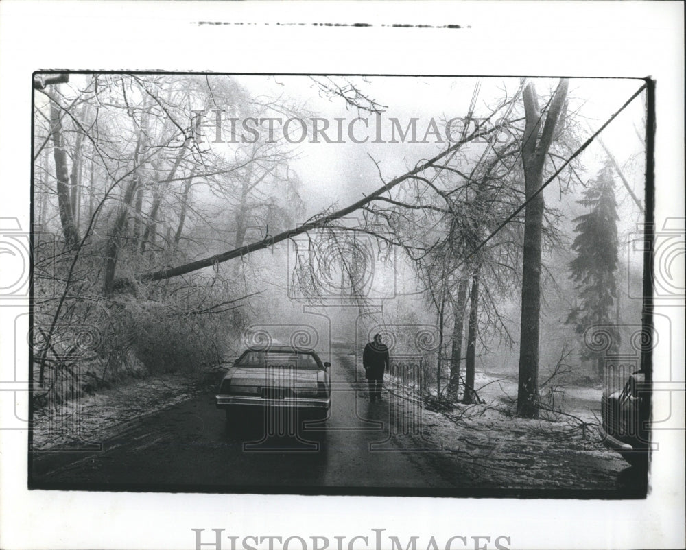 1976 Ice storm - Historic Images