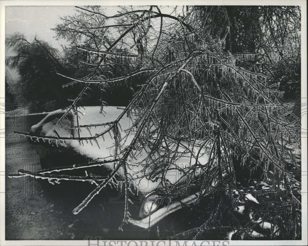 1976 Press Photo Ice Storm Bloomfield Hills - Historic Images