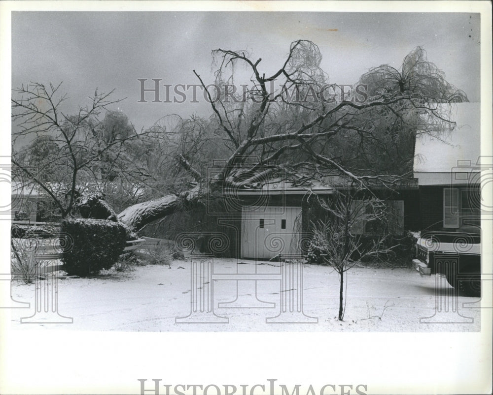 1979 Ice ST. Clair Shores Tim Larson - Historic Images