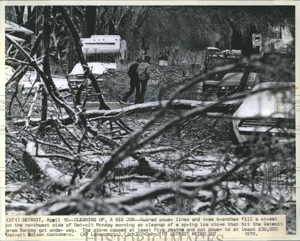 1979 Ice Storm Northwest Detroit Tree - Historic Images