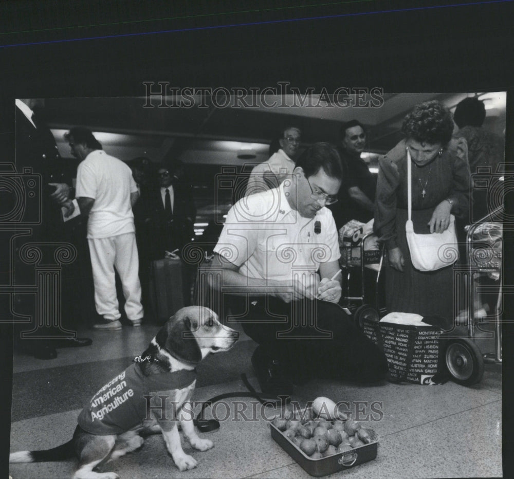 1989 O&#39;Hare International Airport security - Historic Images