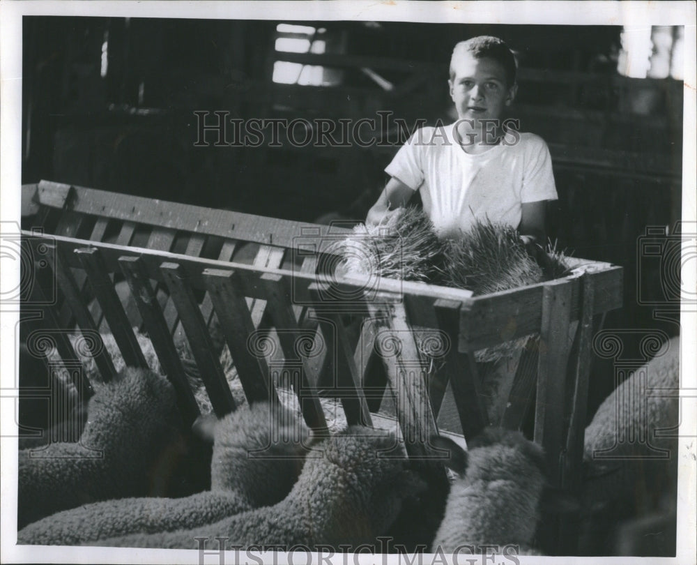 Hydroponic Farming Phil Schafer - Historic Images