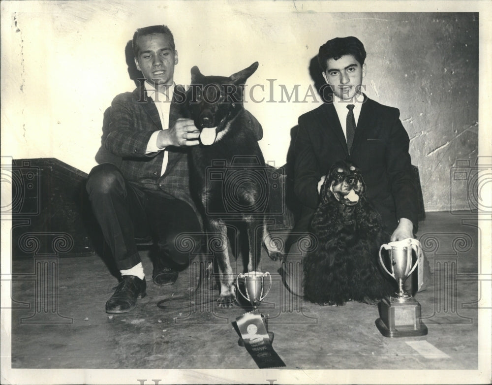 1963 Dog Show Winners German Shepard Ascob - Historic Images