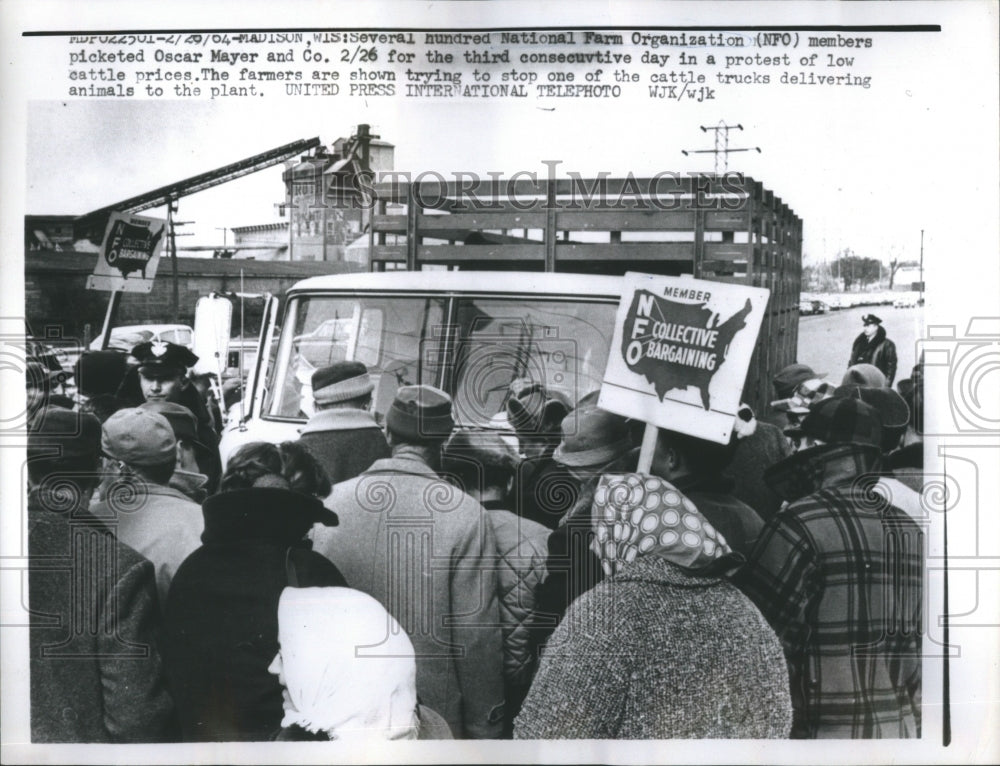 1964 NFO Pickets Oscar Meyer-Low Cattle $$ - Historic Images