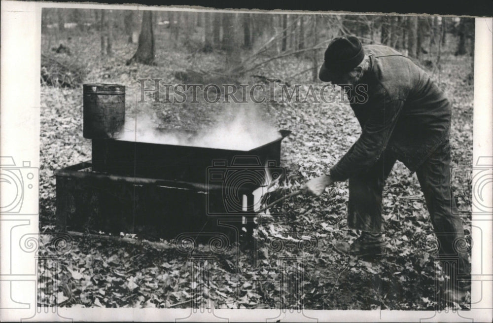 1966 Maple Tree Tapping for Syrup - Historic Images