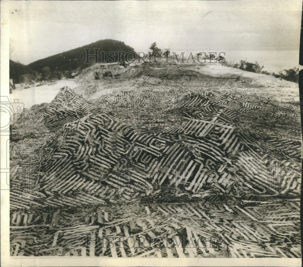 1942 Caribbean Front Line of Jungle Defense - Historic Images