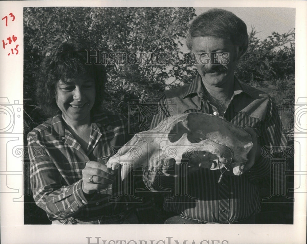 1984 Hunting Bear - Historic Images