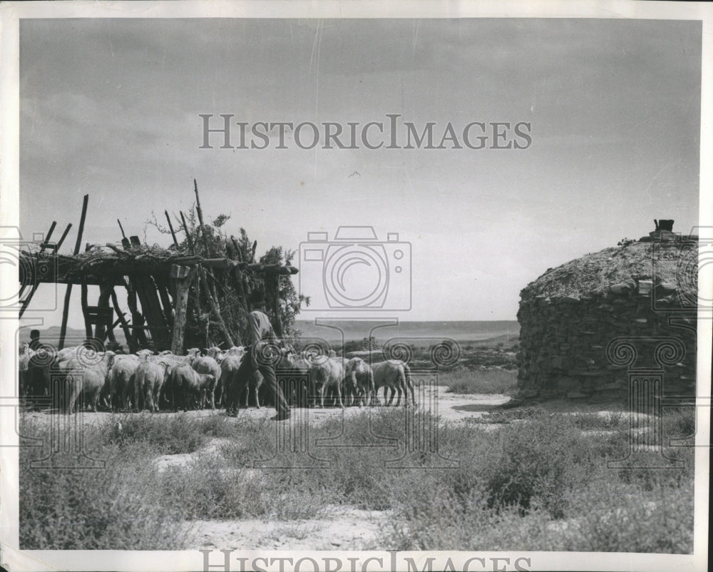1961 Press Photo Navaho Indian Dwelling in Desert - Historic Images