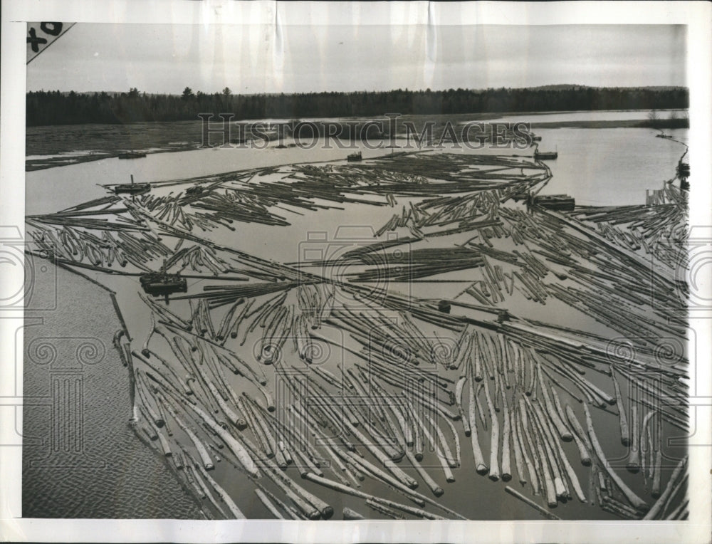 1942 Lazy Logs - Historic Images