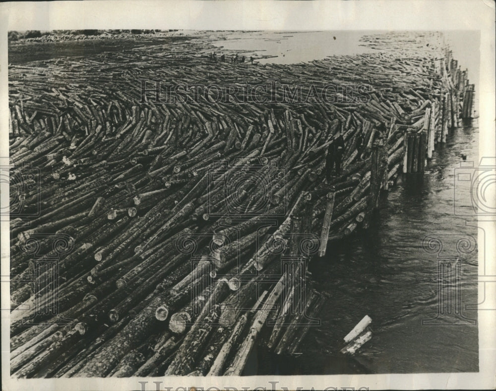  Timber Woods Water - Historic Images