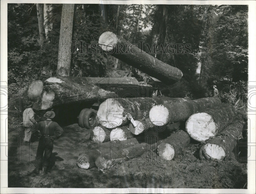 1942 Logging - Historic Images