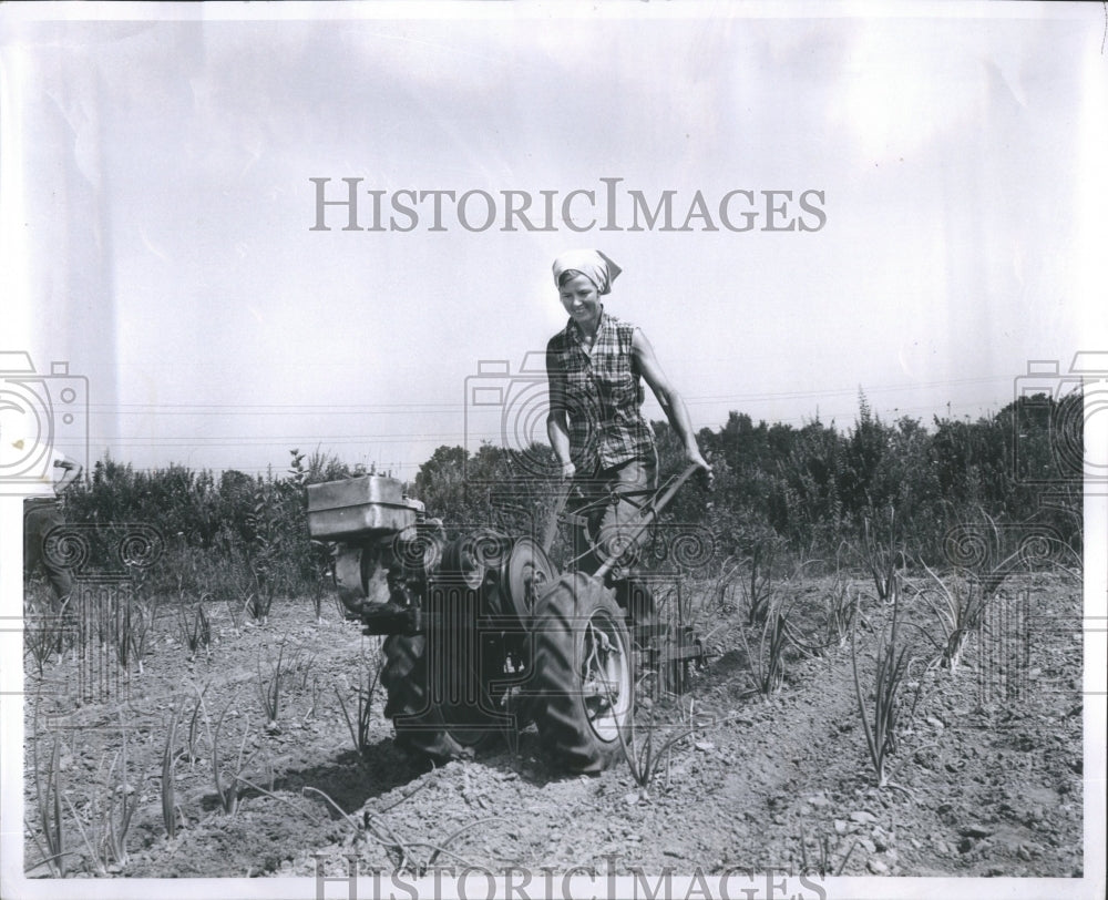 1963 Farmer - Historic Images