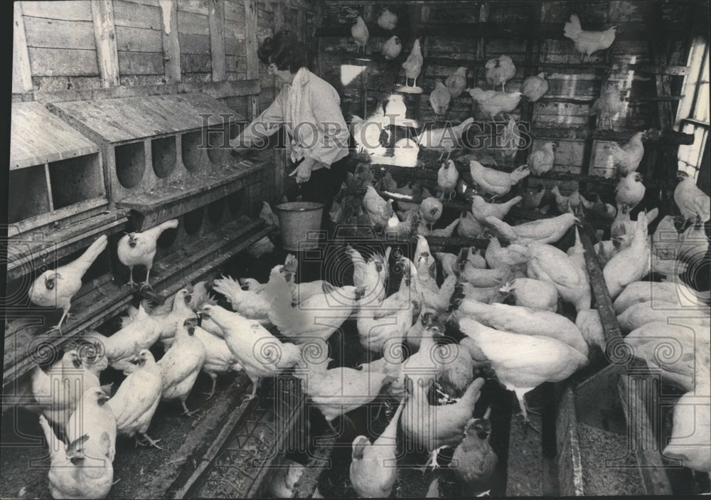 1973 Farming Families - Historic Images