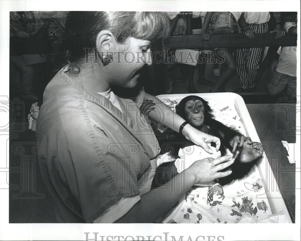 1991 Lincoln Park Zoo Nursery Magadi Baby - Historic Images