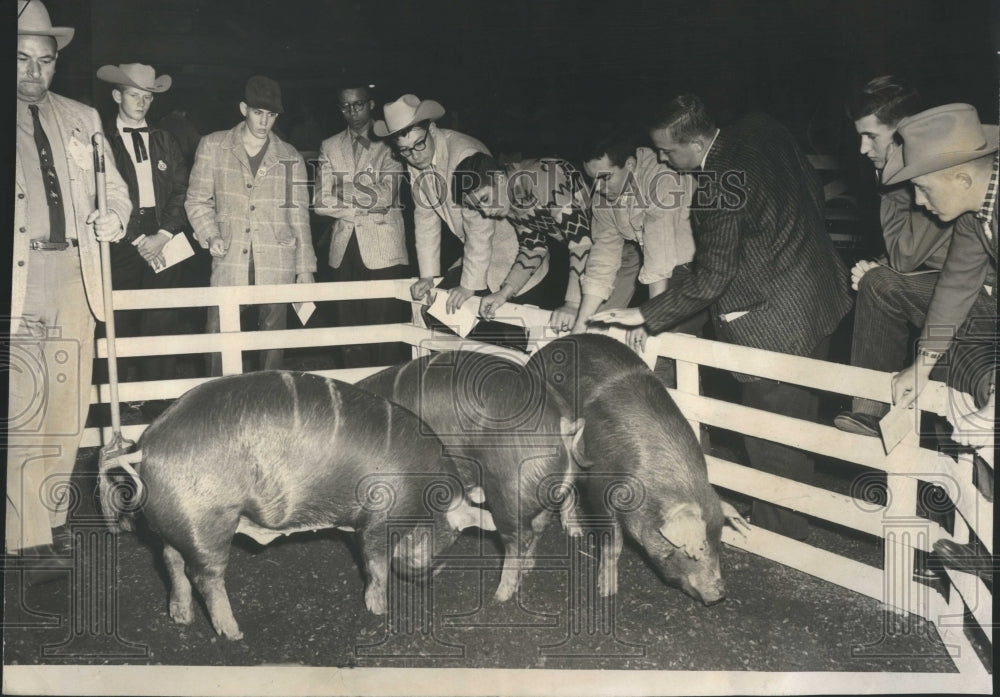 1959 4-H Club Livestock Judging Contest - Historic Images