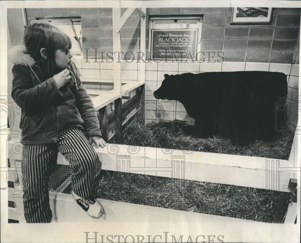 1968 Grand Champ Steer at Zoo  - Historic Images