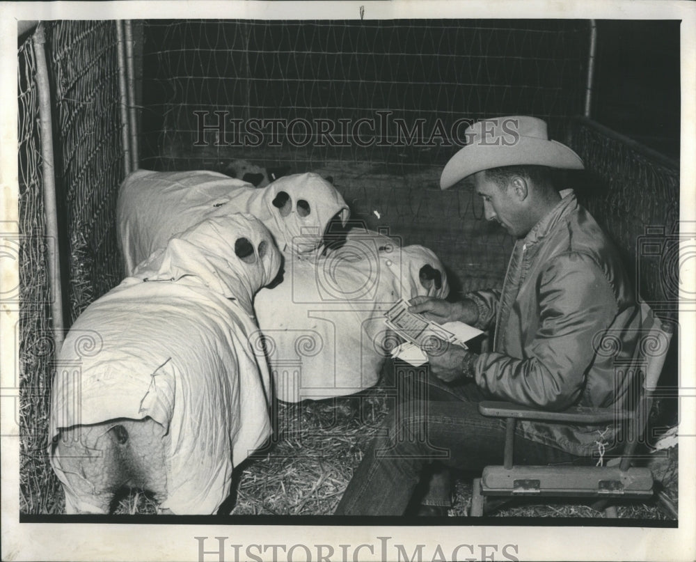 1968 International Livestock Exposition - Historic Images