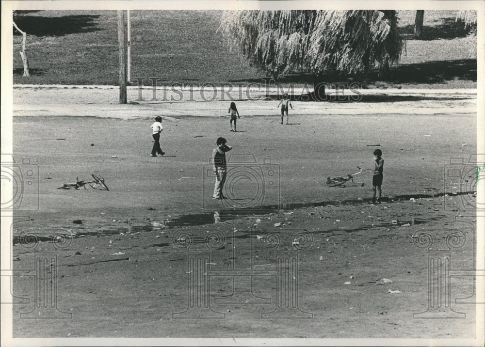 1980 Humboldt Park Lagoon Bacteria Drained - Historic Images