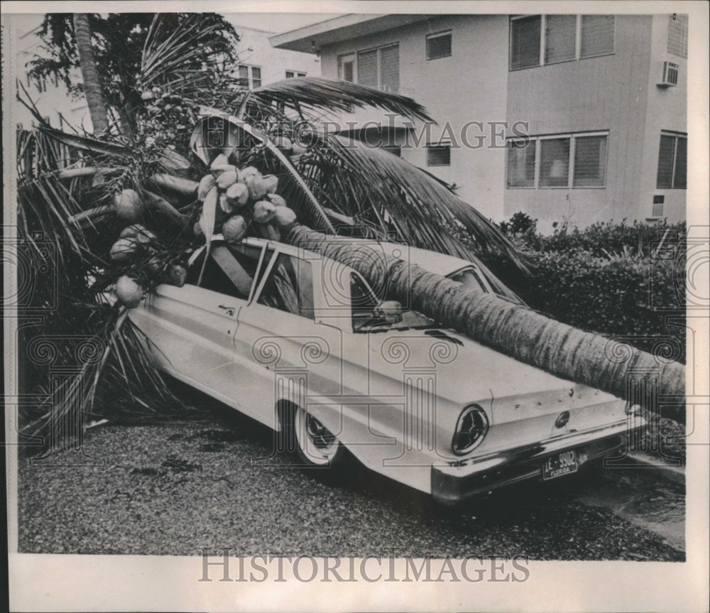 1965 Hurricane - Historic Images
